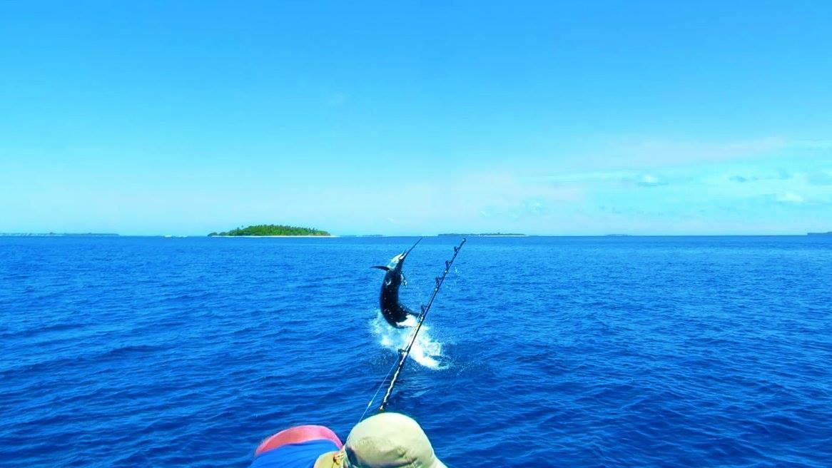 Summer Shade Maldives Dharavandhoo Exterior foto
